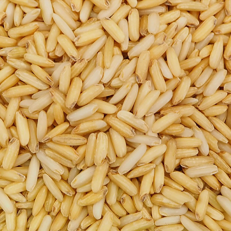 Brown Glutinous Rice
